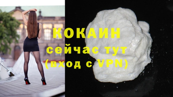 СК Елизово