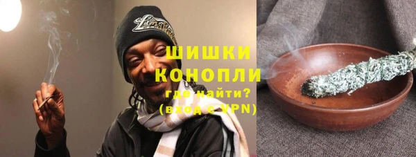 СК Елизово