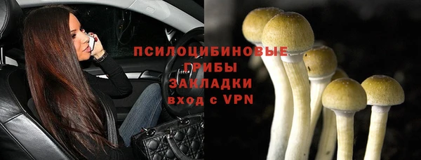 соль ск Елабуга