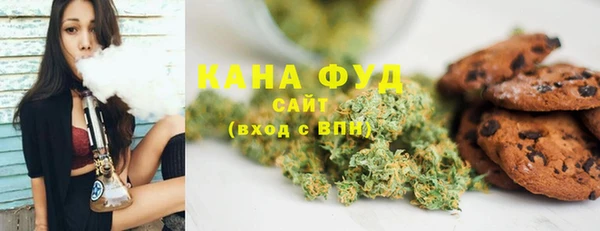 соль ск Ельня