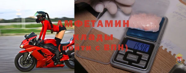соль ск Ельня