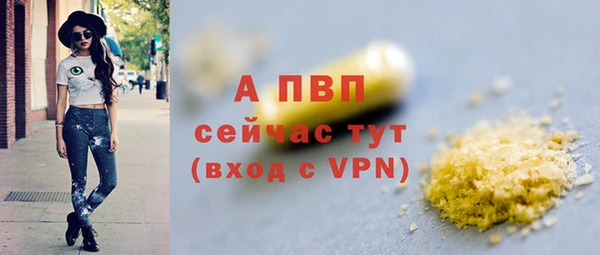 СК Елизово