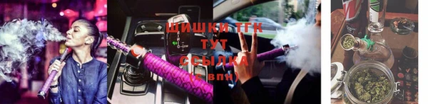 соль ск Елабуга