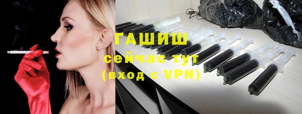 соль ск Ельня