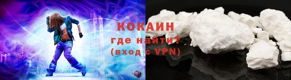 соль ск Ельня