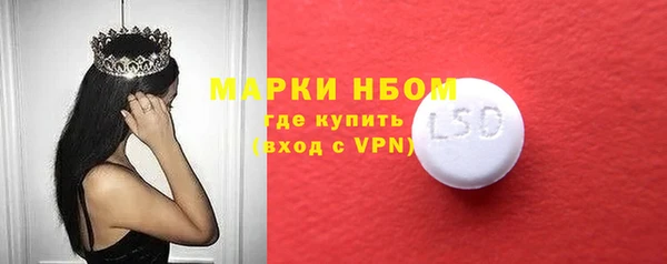 соль ск Ельня