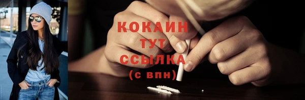 СК Елизово