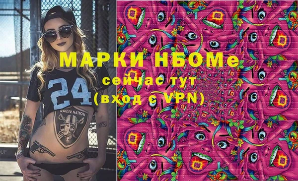 соль ск Елабуга