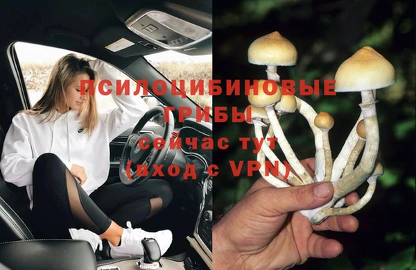 соль ск Елабуга