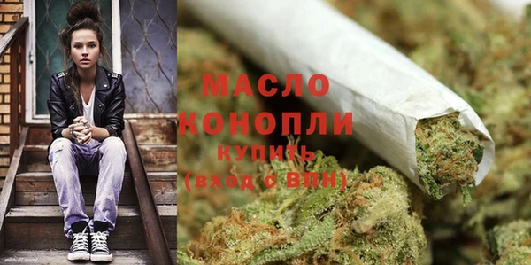 соль ск Елабуга