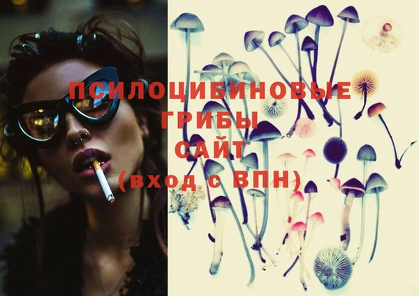 соль ск Елабуга