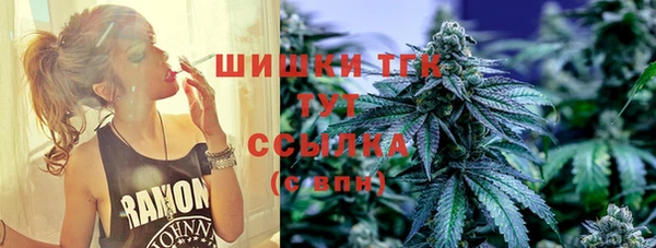 соль ск Ельня