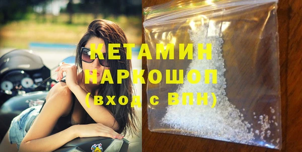 соль ск Ельня