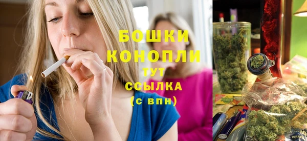 СК Елизово