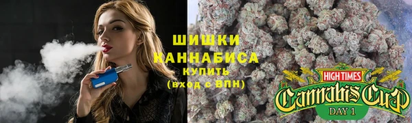 соль ск Ельня