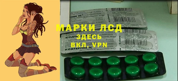соль ск Елабуга