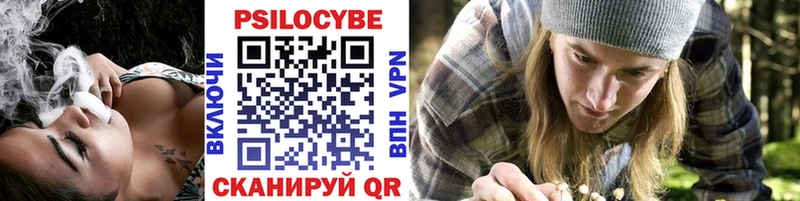 Купить  Выборг  Псилоцибиновые грибы GOLDEN TEACHER 